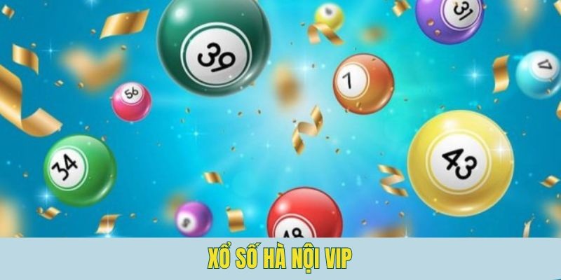 Hà Nội Vip